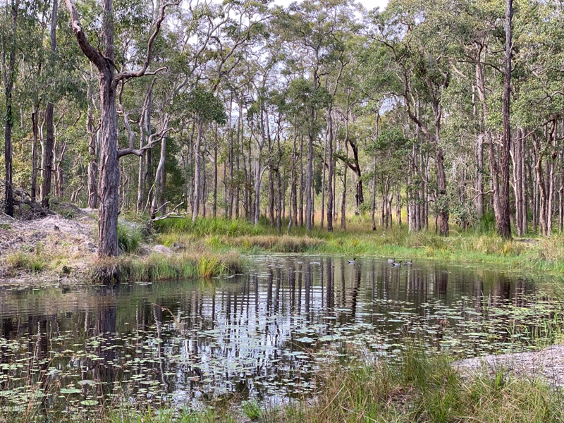 1071 TucabiaTyndale Road, Tucabia, NSW 2462 Property Details