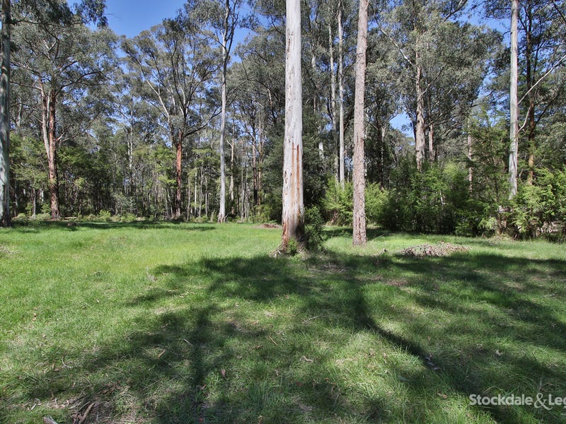 36 Whitegum Drive, East Warburton, VIC 3799