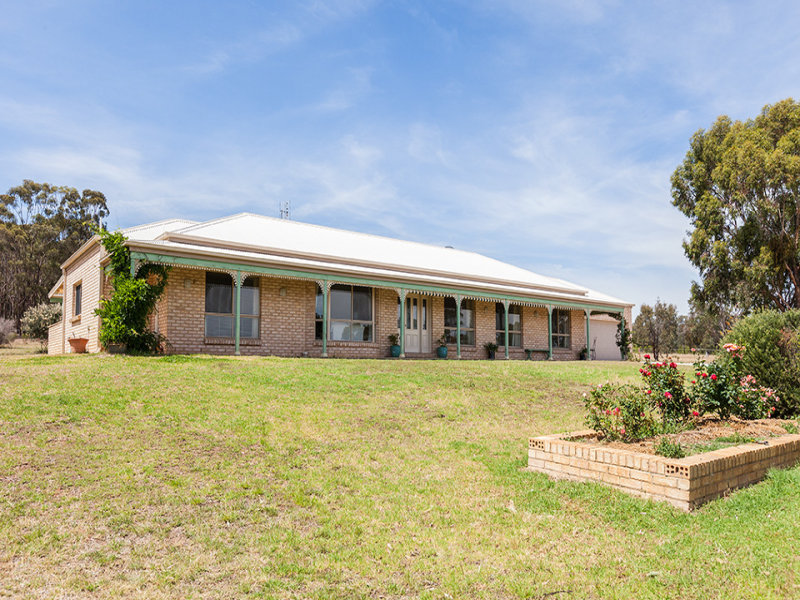 53 Peppercorn Lane, Buckaroo, NSW 2850