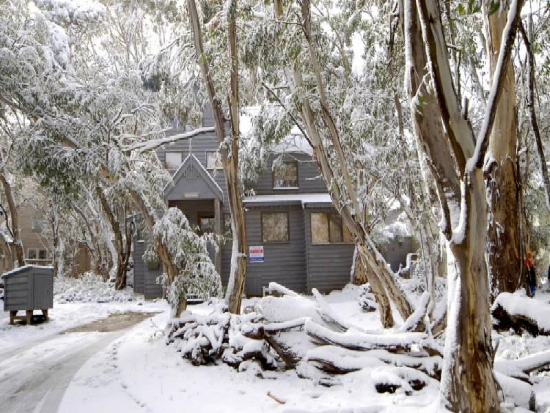 5 Drovers Lane, Dinner Plain, VIC 3898