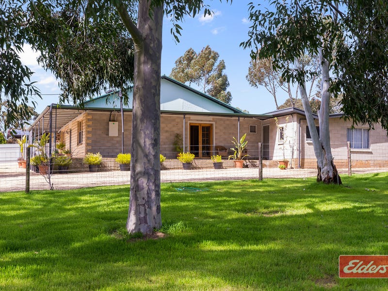 131 Yettie Road, Williamstown, SA 5351 House for Sale