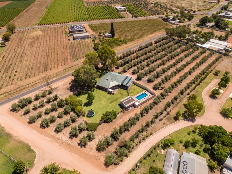 44 Keating Avenue, Nichols Point, Vic 3501