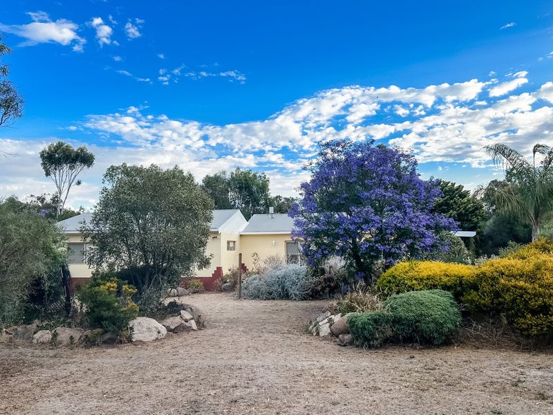 24 Curlew Street, Katanning, WA 6317 House for Sale