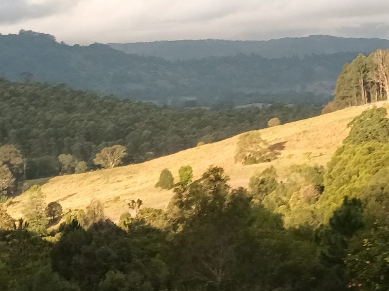 345 Blue Knob Road, Blue Knob, NSW 2480 Residential Land for Sale