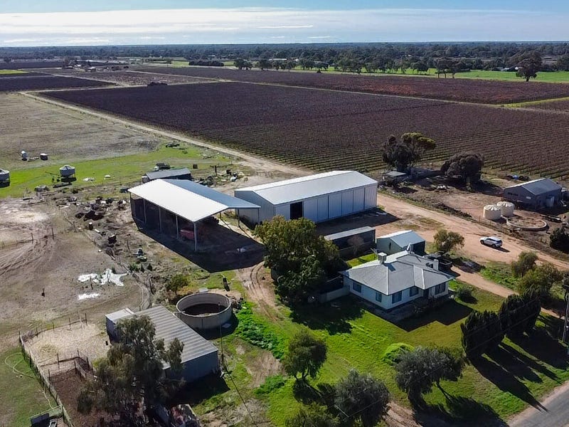 56 Macquarie Rd, Pomona, NSW 2648 Lifestyle for Sale