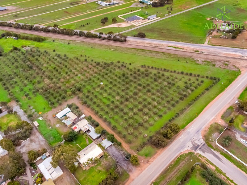 2 Dawkins Road, Two Wells, SA 5501 Horticulture for Sale realestate