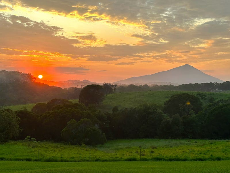 4532 Black Mountain Rd, Julatten, Qld 4871 House for Sale