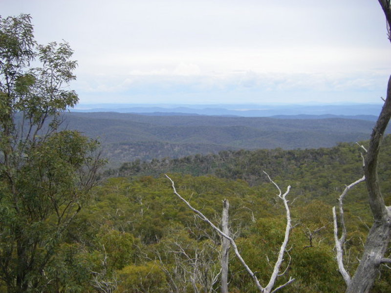 1837 Peak View Road, Peak View, NSW 2630