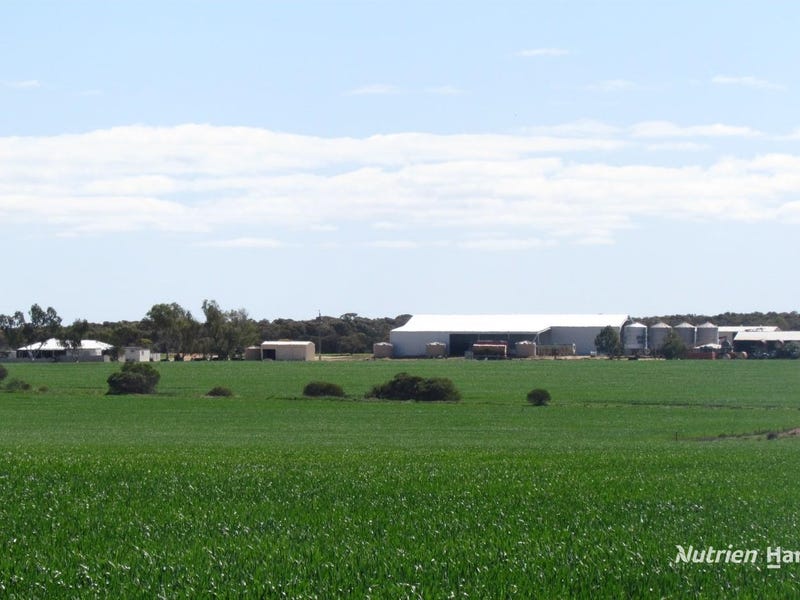 1518-forte-road-latham-wa-6616-cropping-for-sale-realestate-au