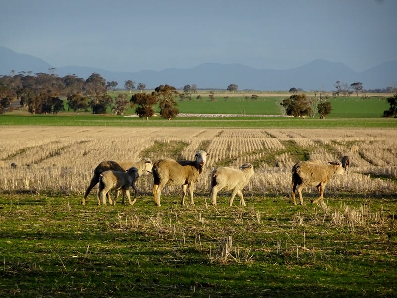 "CWMAVON" 2616 Pallinup Rd, Gnowangerup, WA 6335 Property Details