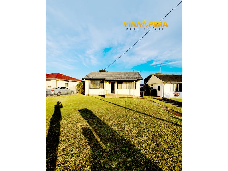 16 Townview Road, Mount Pritchard, NSW 2170