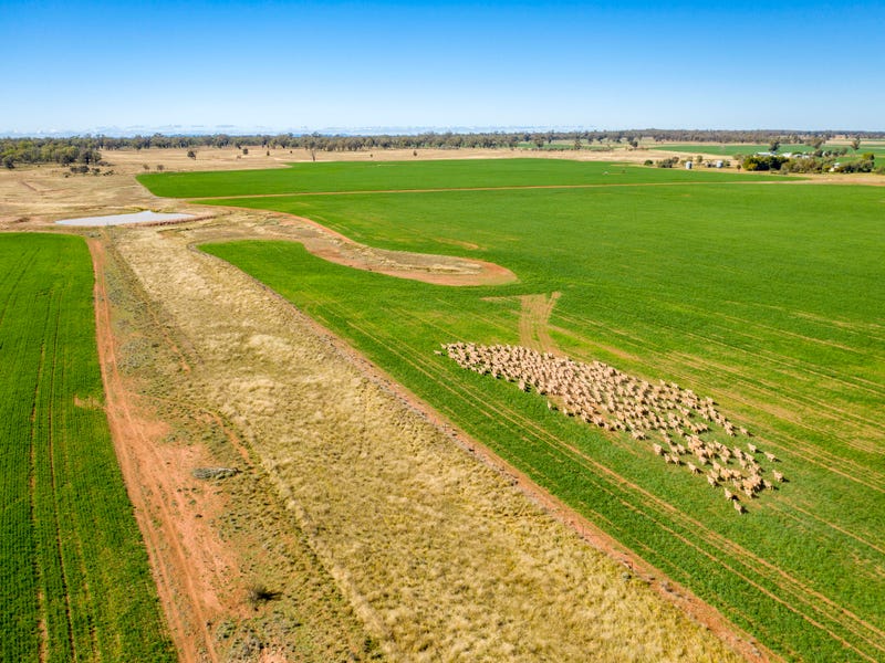 3502 Numalla Road, Peak Hill, NSW 2869