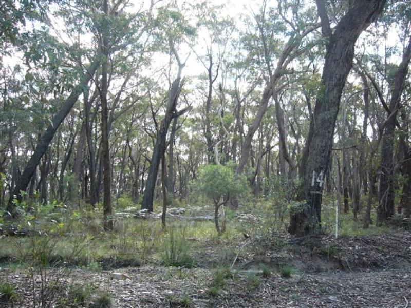 442 Mares Forest Road, Taralga, NSW 2580 Property Details