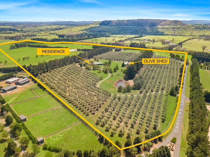 Real Estate & Property for Sale in Sutton Forest, NSW 2577 realestate