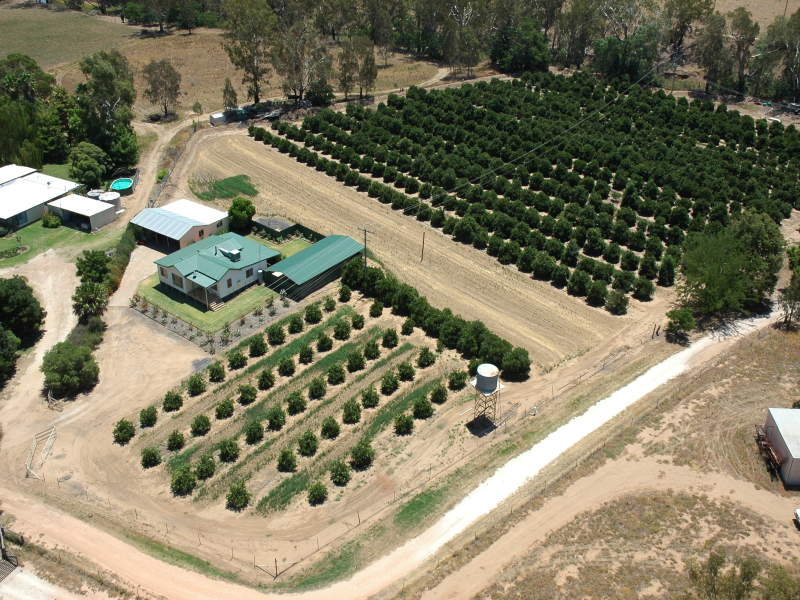 45 WILSON'S LANE, Trangie, NSW 2823 Property Details