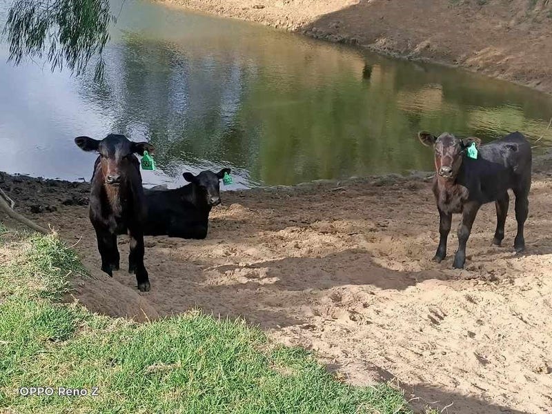 574 Ambergate Road, Busselton, WA 6280 Property Details