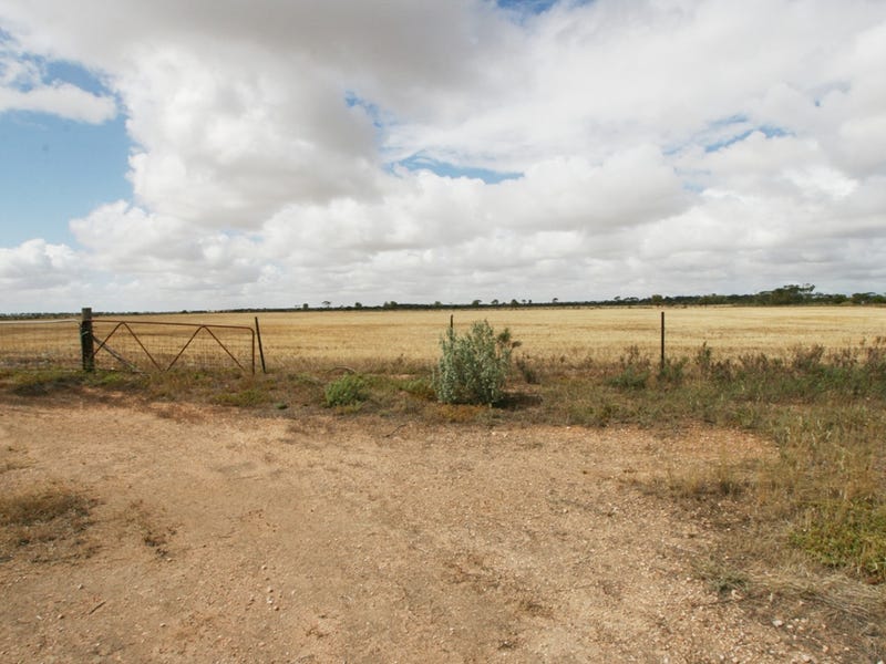 Section 1312 Mines Road, Kadina, SA 5554 Property Details