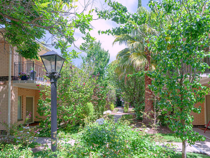 6/4 Macklin Street, Hyde Park, SA 5061