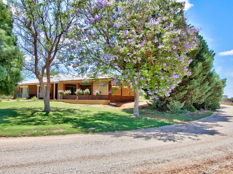 446 Anderson Road, Loxton North, SA 5333