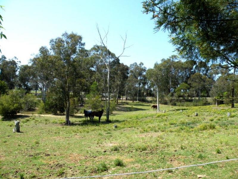 65 Warrobyn Road, Bargo, NSW 2574