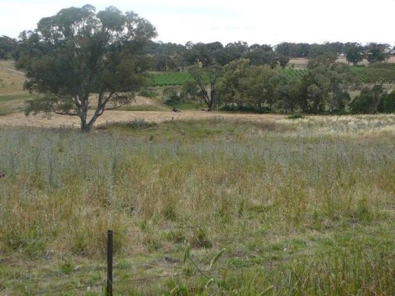 497 Wickham Lane, Young, NSW 2594