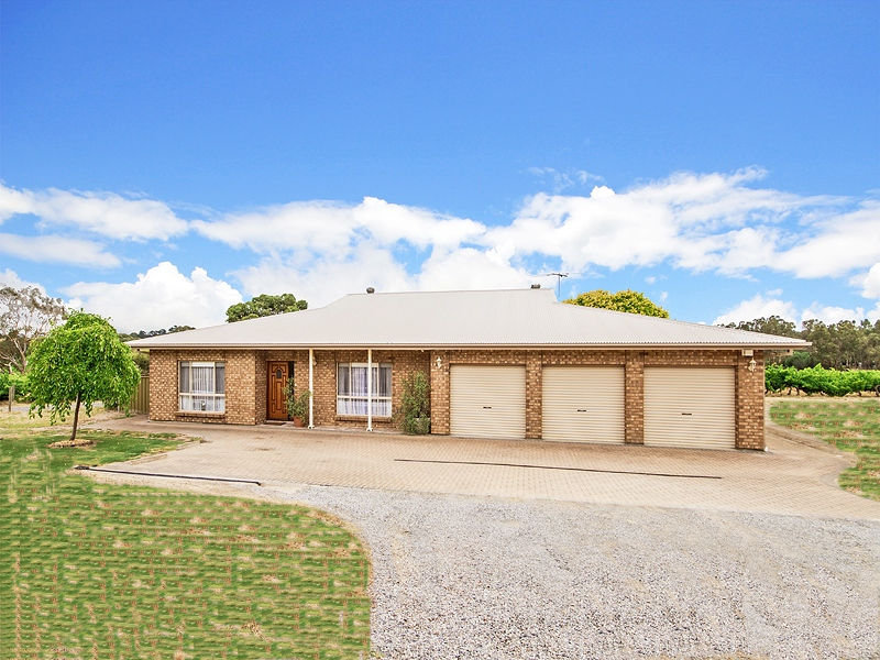 313 Kangarilla Road, Mclaren Flat, SA 5171