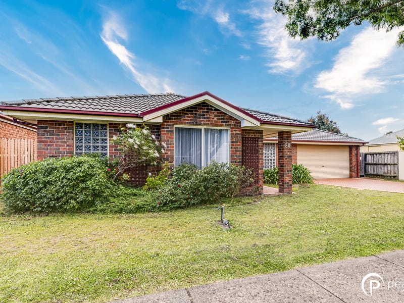 80 St Boswells Avenue, Berwick, Vic 3806