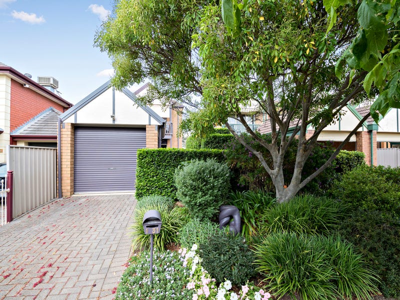 1/31 David Avenue, Mitchell Park, SA 5043