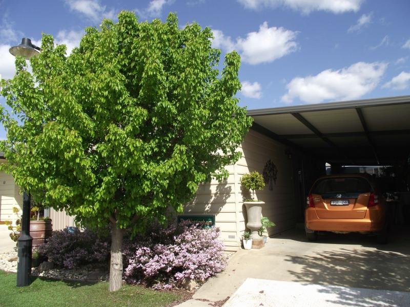 12 Elsie Jones Drive, Mooroopna, Vic 3629 Property Details