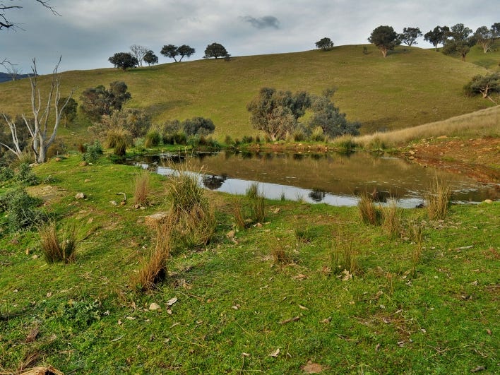 The Block Packers Road, Bethanga, Vic 3691 Property Details