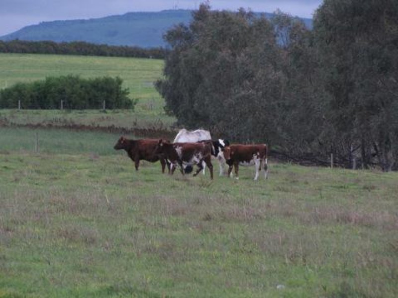 ColacBallarat Road, Beeac, Vic 3251 Property Details