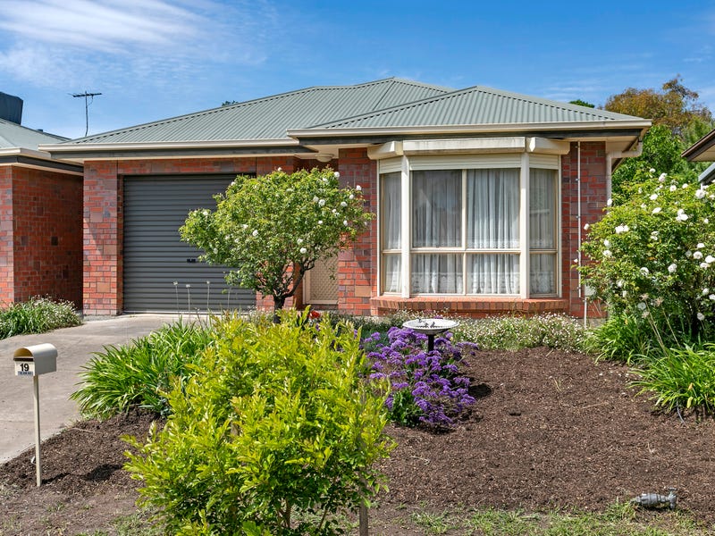 19 Ashley Avenue, Ridgehaven, SA 5097