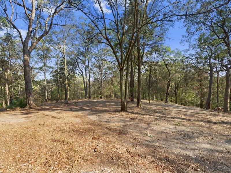 Lot 1, Bunning Creek Road, Yarramalong, NSW 2259 Property Details