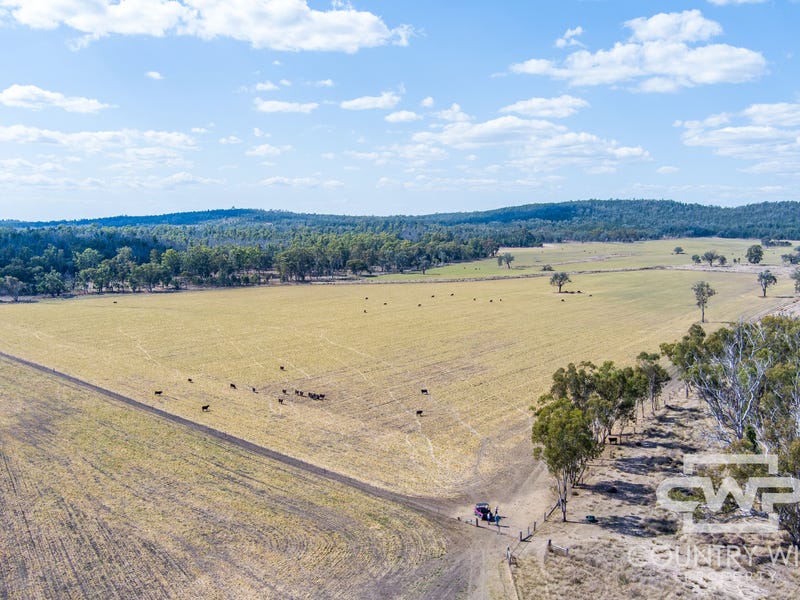 5160 Warialda Road, Coolatai, NSW 2402