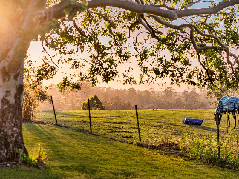 565 Mundoolun Connection Road, Boyland, QLD 4275