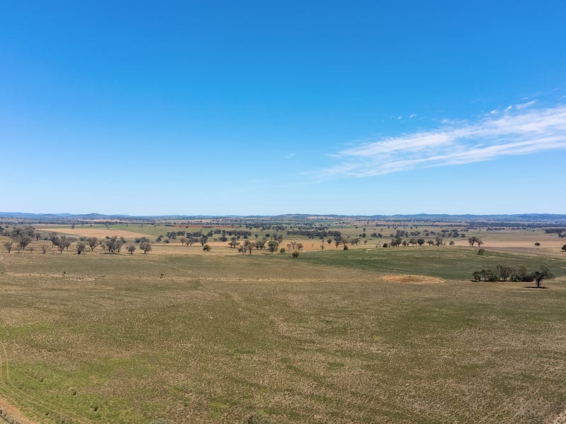 330 Beulong Road, Yeoval, NSW 2868 Other for Sale