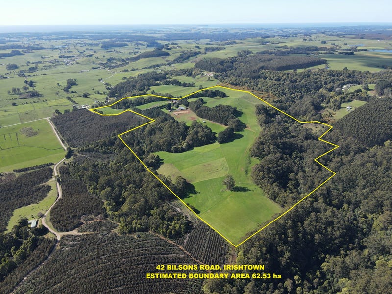 42 Bilsons Road, Irishtown, Tas 7330 House for Sale