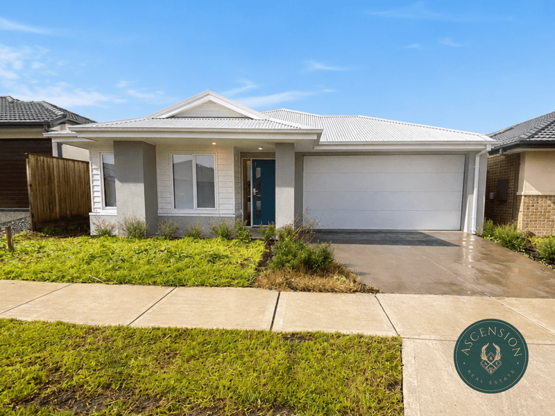 16 Cheddar Street, Donnybrook