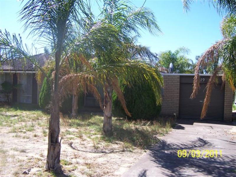 19 Brigalow Way, Armadale, WA 6112