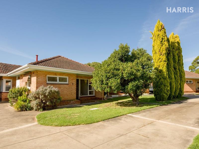 3/4 Butler Avenue, Lower Mitcham, SA 5062
