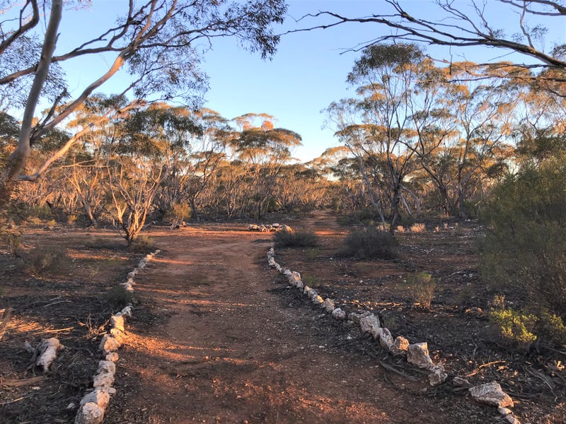 3581 Stott Highway, Sedan, SA 5353 Property Details