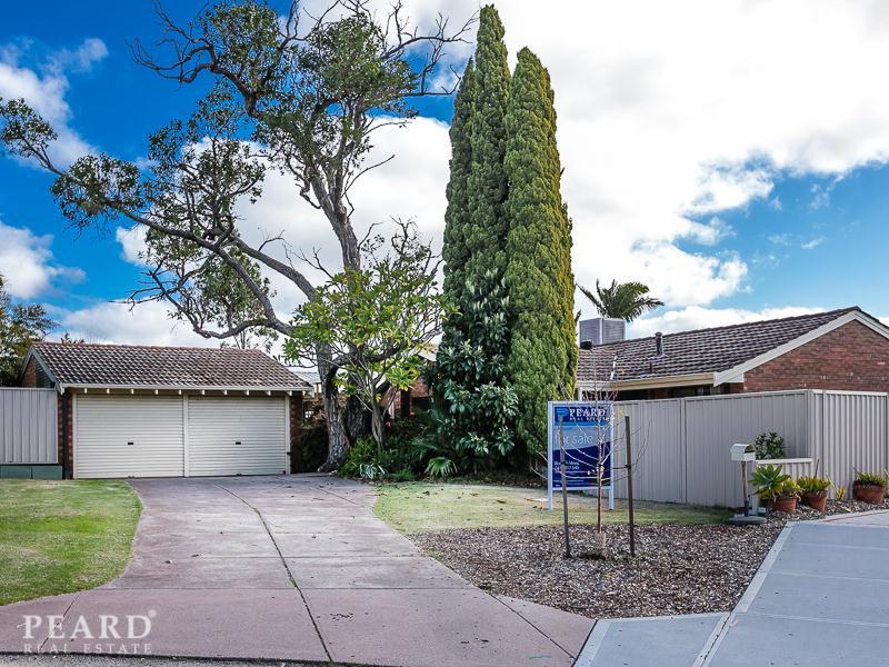 1 Glenfinnan Court, Hamersley, WA 6022 - realestate.com.au