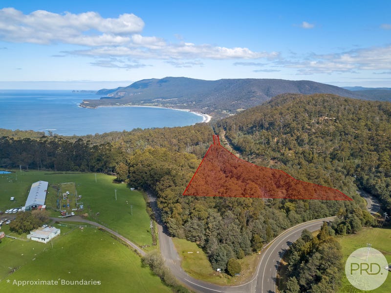4895 Arthur Highway, Eaglehawk Neck, Tas 7179 Residential Land for