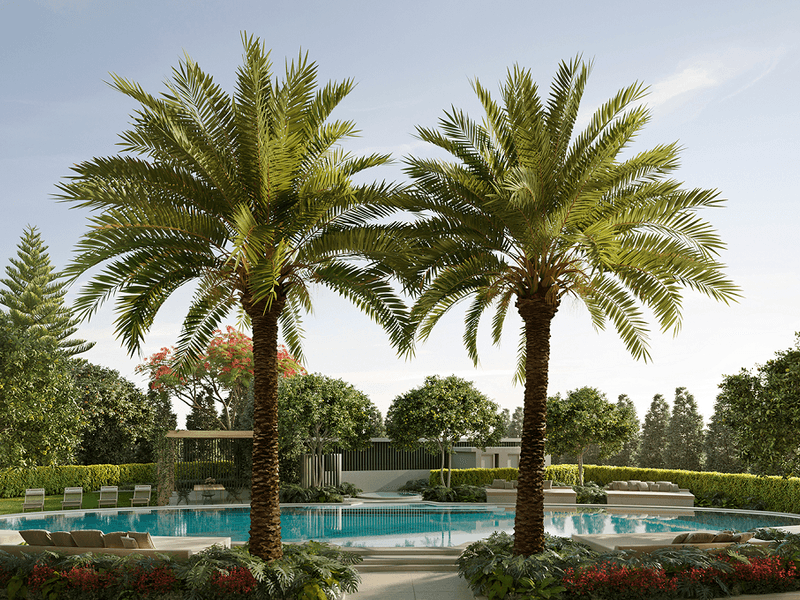 Real Estate & Property for Sale in Labrador, QLD 4215 (+3 locations) Pg