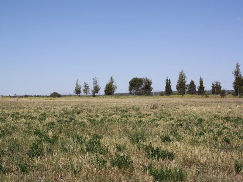 36 Mancini Drive, Lake Wyangan, NSW 2680