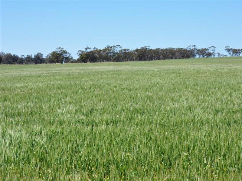 Property 7517235, Tambellup, WA 6320 Property Details