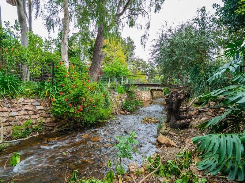 22D Fife Avenue, Torrens Park, SA 5062