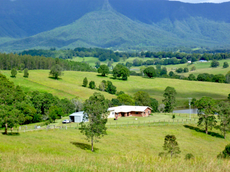 24 Tyalgum Ridge Road, Tyalgum, NSW 2484