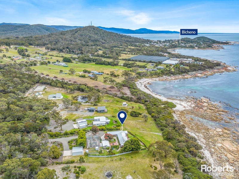 119 Harveys Farm Road, Bicheno, Tas 7215 House for Sale realestate