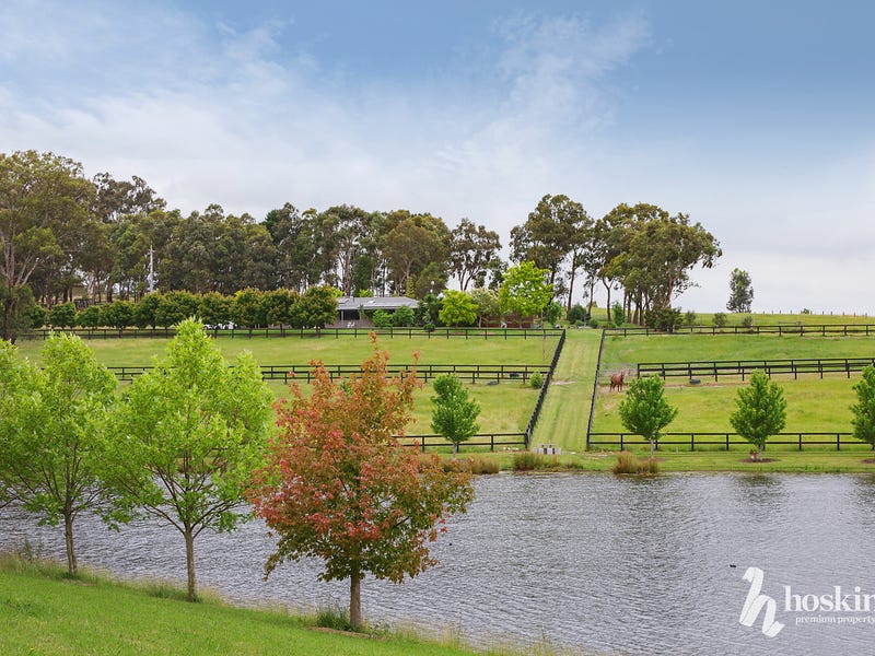 Real Estate & Property for Sale in Dixons Creek, VIC 3775 realestate